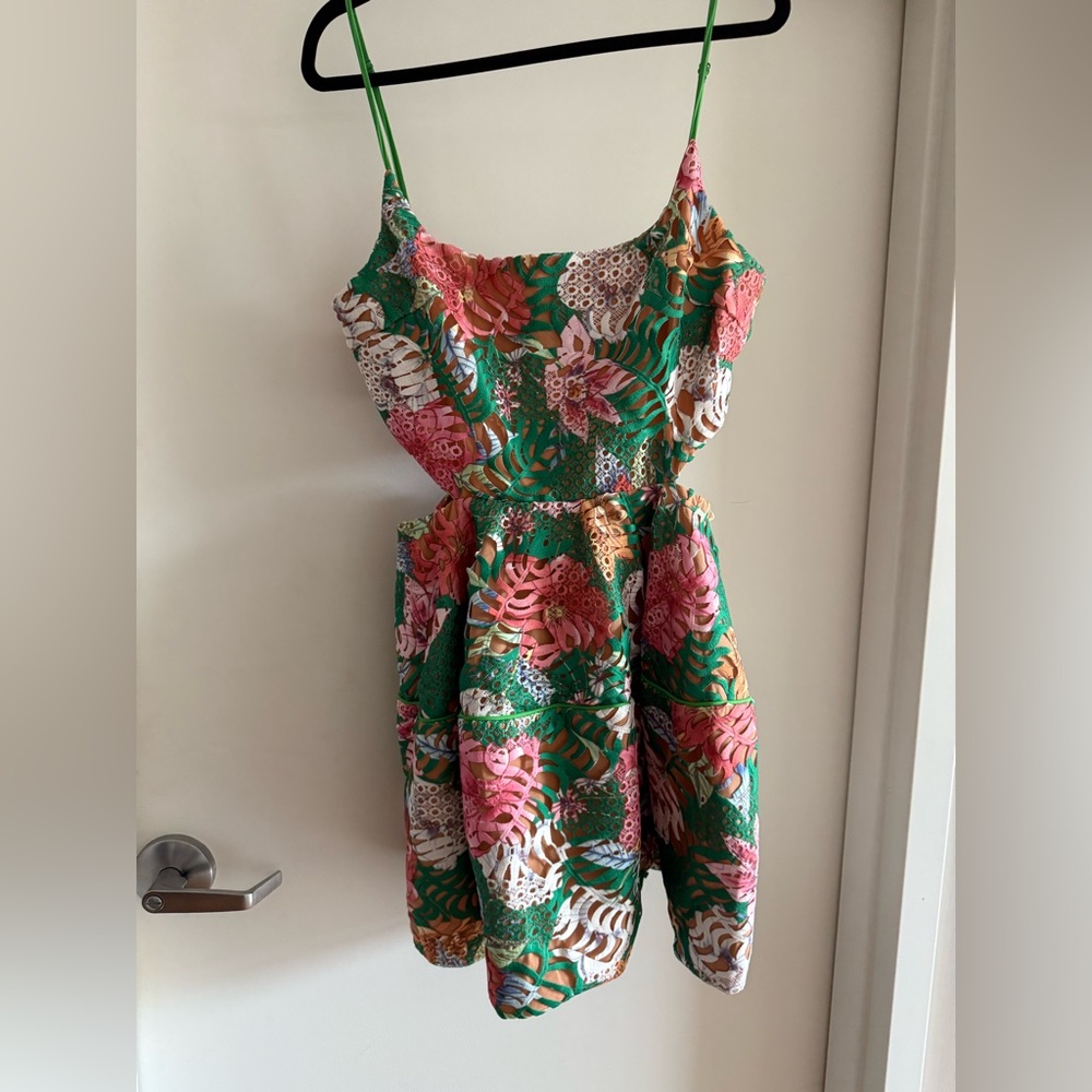 Elliatt Peach and Green Dress